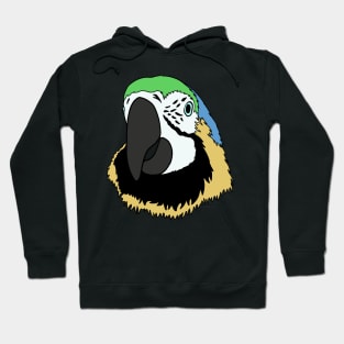 Parrot Head hand drawn with blue, green and yellow Hoodie